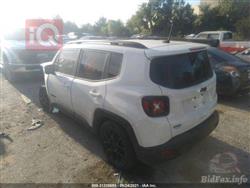 جيب رينيجيد